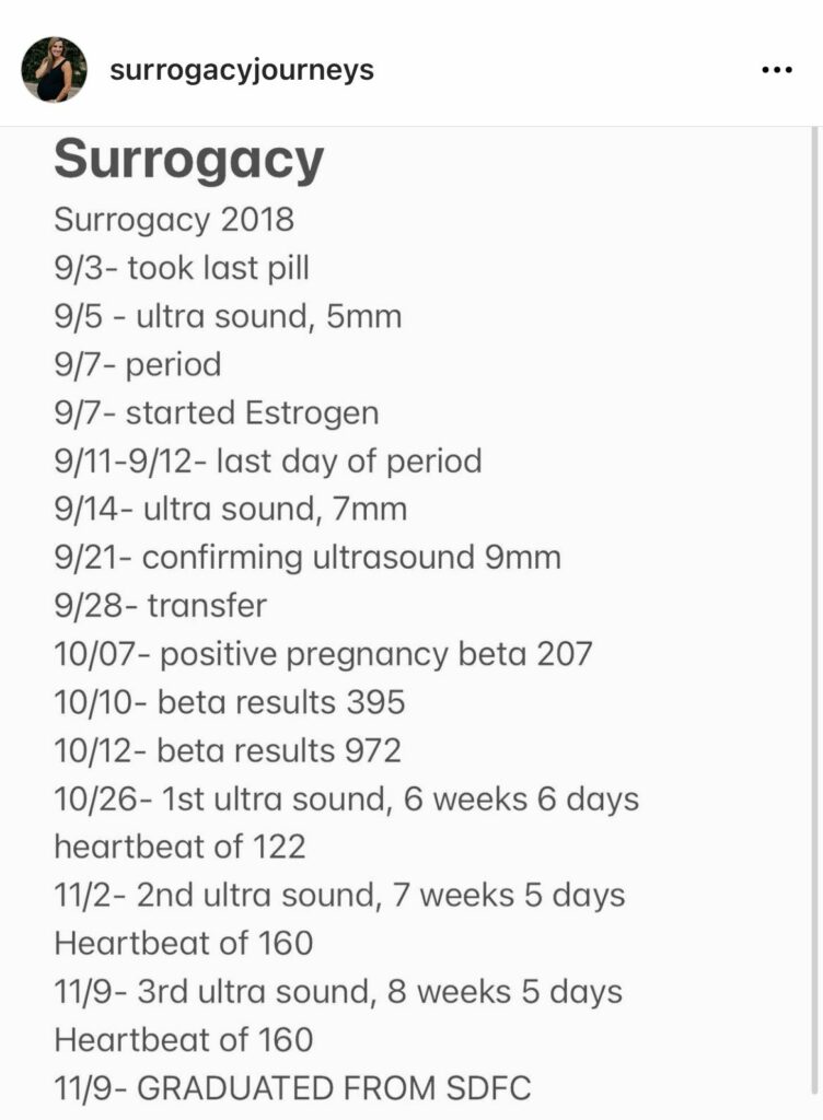 Elsa Hensel pregnancy timeline   