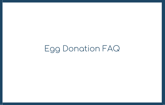 Egg Donation FAQ