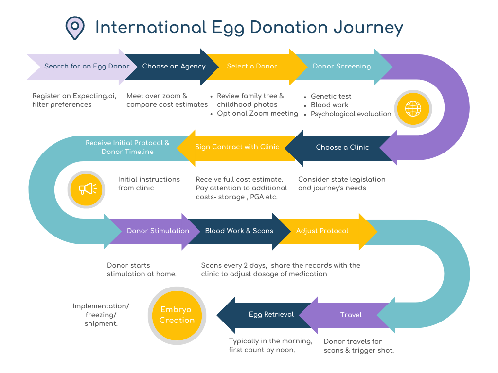 International Egg Donation Journey Infographic 