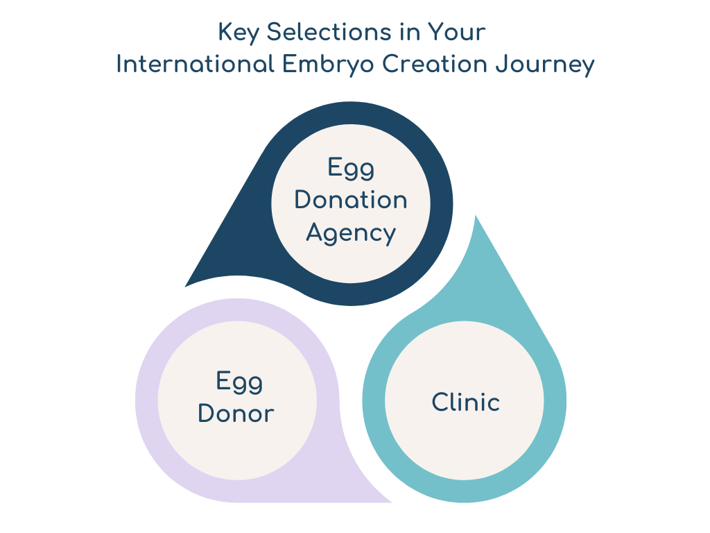 International Embryo Creation Infographic 