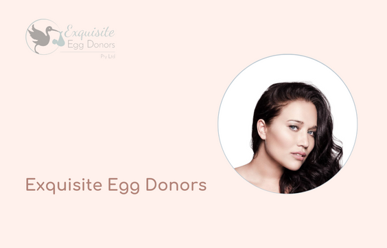 Exquisite Egg Donors
