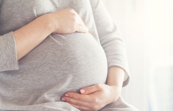 Surrogacy Requirements