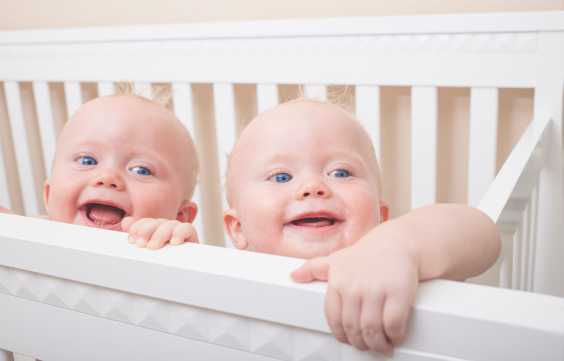 Twin Surrogacy