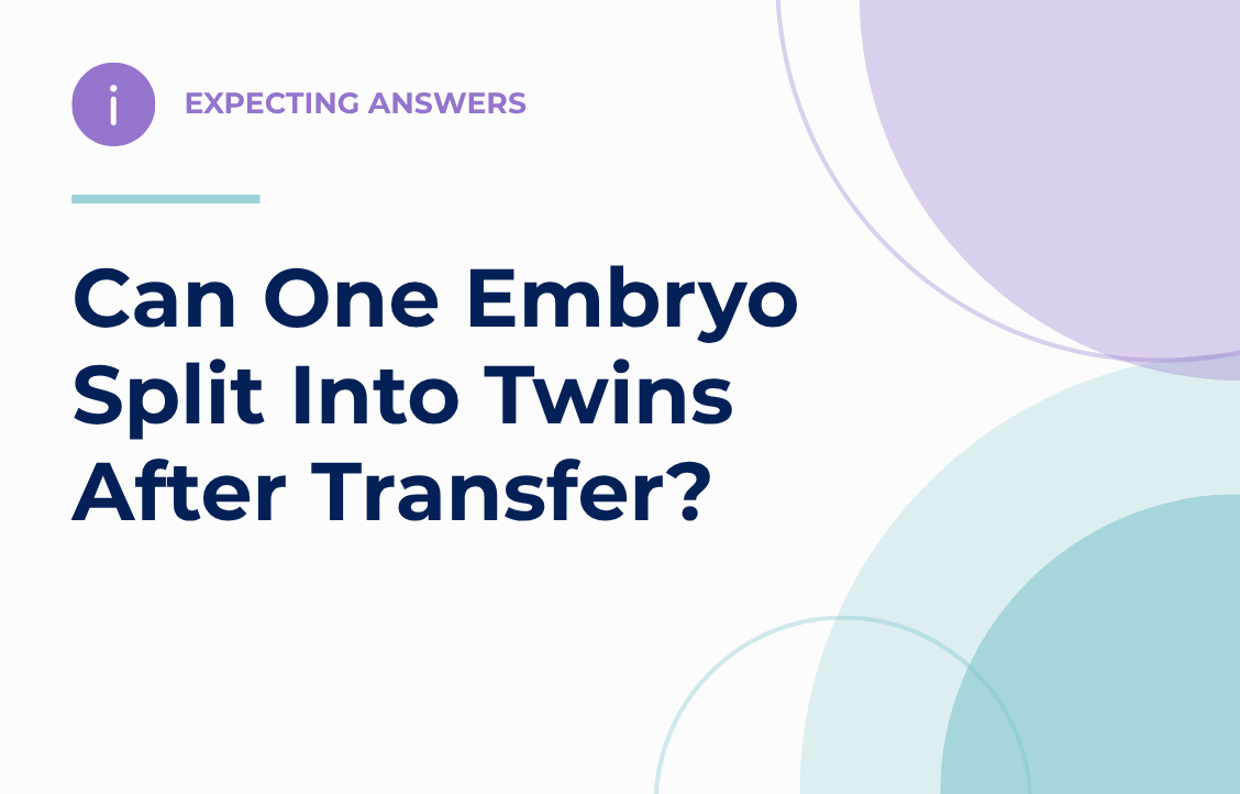 Can one embryo split into twins after transfer?